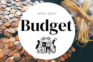 Budget 24-25